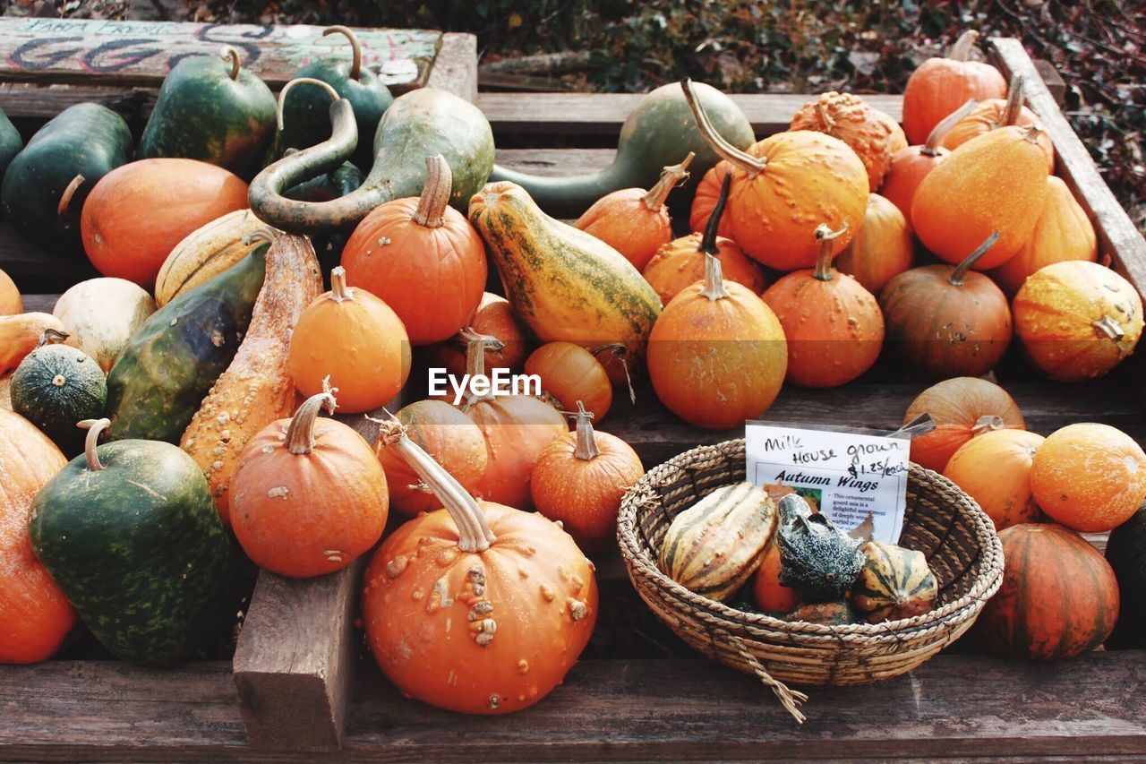 High angle view of pumpkins