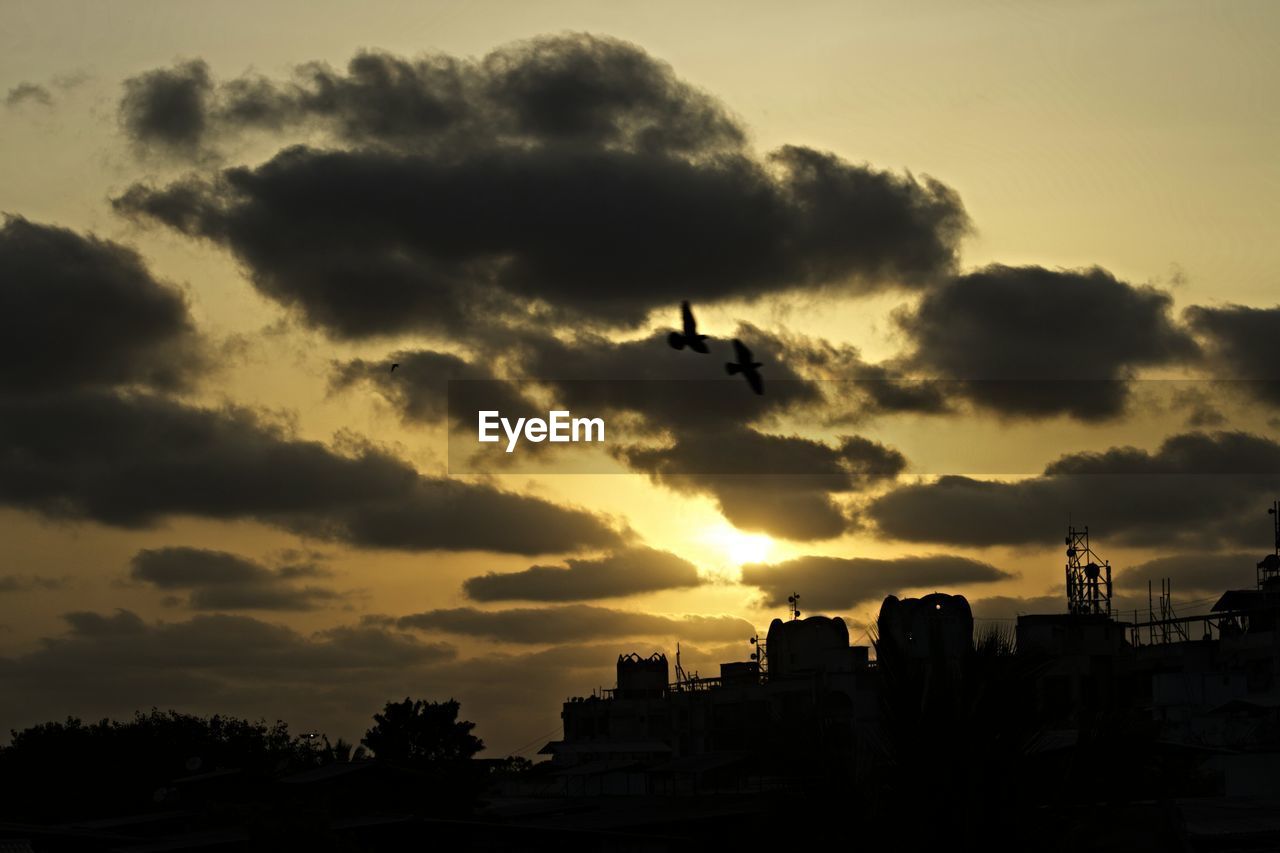 LOW ANGLE VIEW OF AIRPLANE FLYING OVER CLOUDY SKY