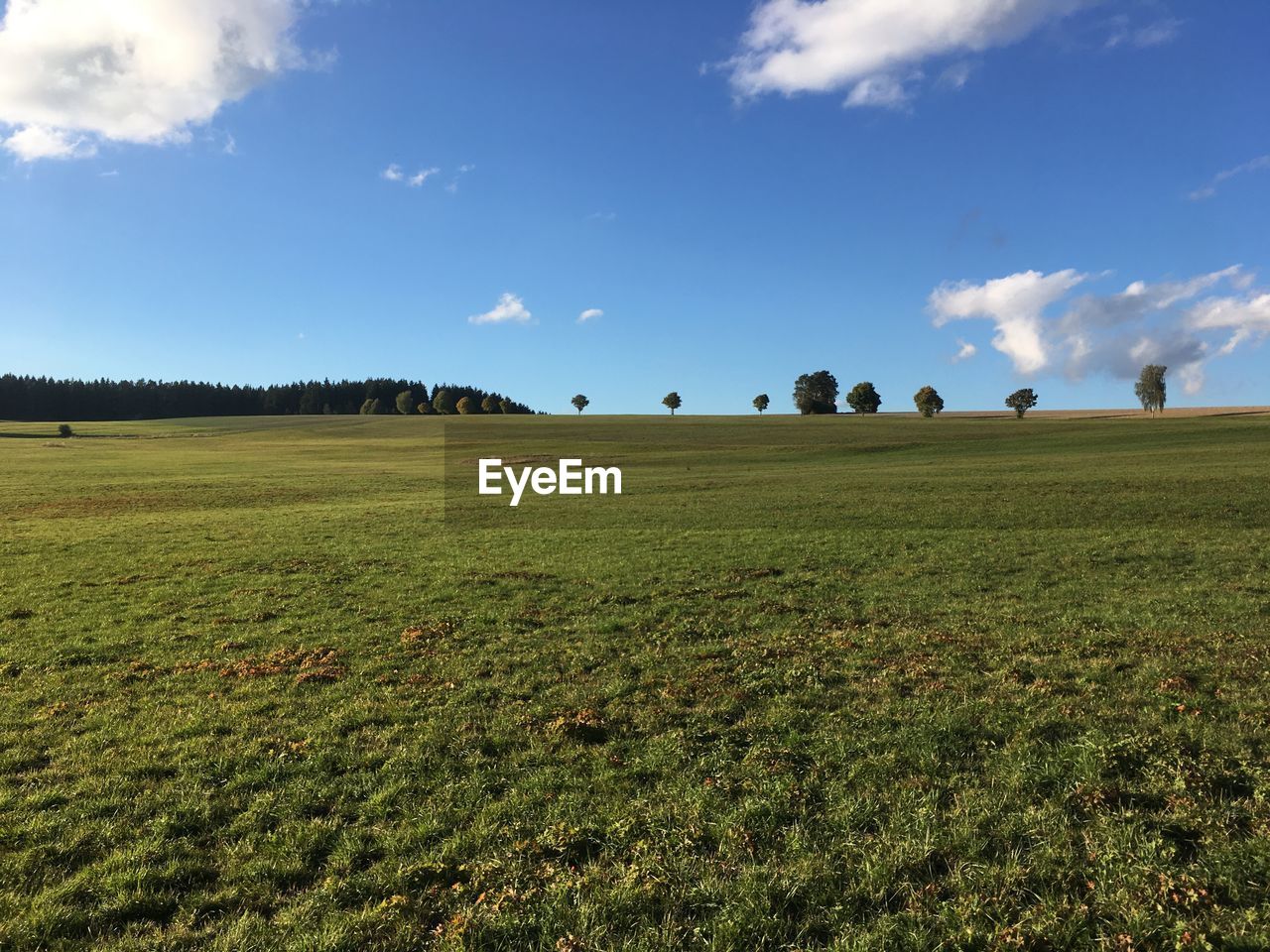 SCENIC VIEW OF FARM FIELD AGAINST SKY