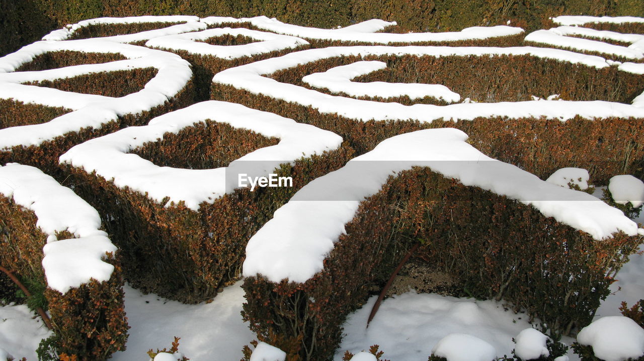 High angle view of snow covered plants on field