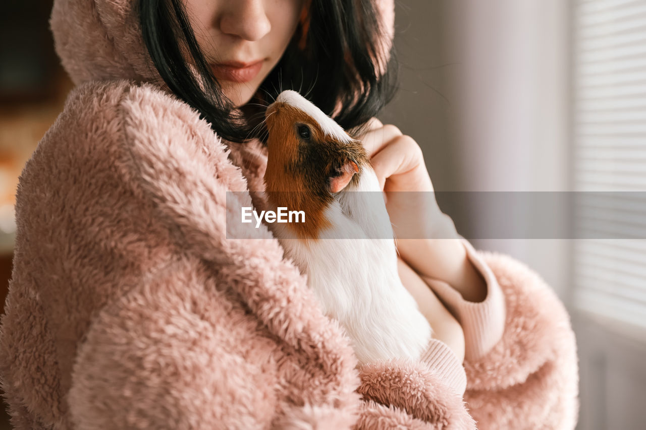 Cute guinea pig in the girl's arms, child and animal concept