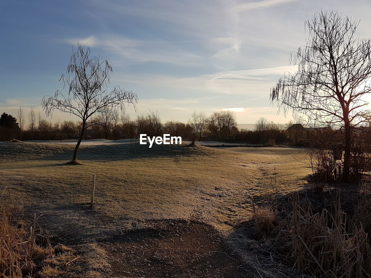 Bare trees on field against sky during sunset