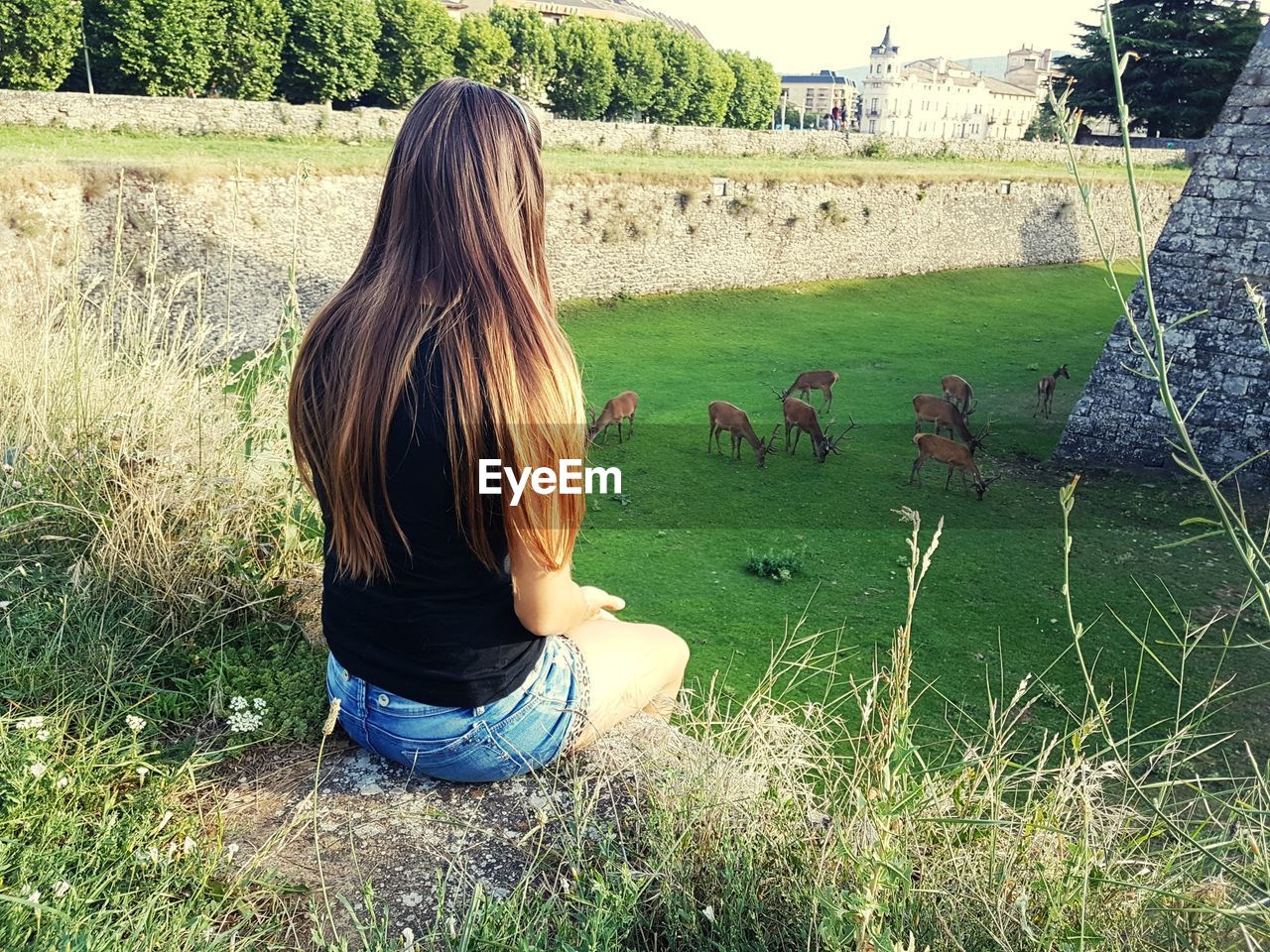 Rear view of woman looking at deer while sitting on field