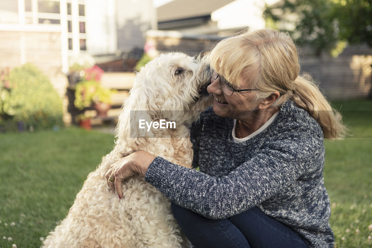 Dog kissing blond woman in front yard