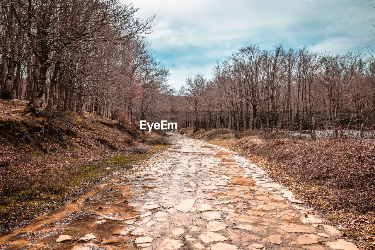 FOOTPATH AMIDST TREES ON LANDSCAPE AGAINST SKY