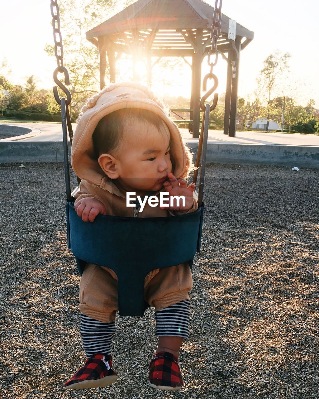 Cute toddler sitting on swing at playground during sunset