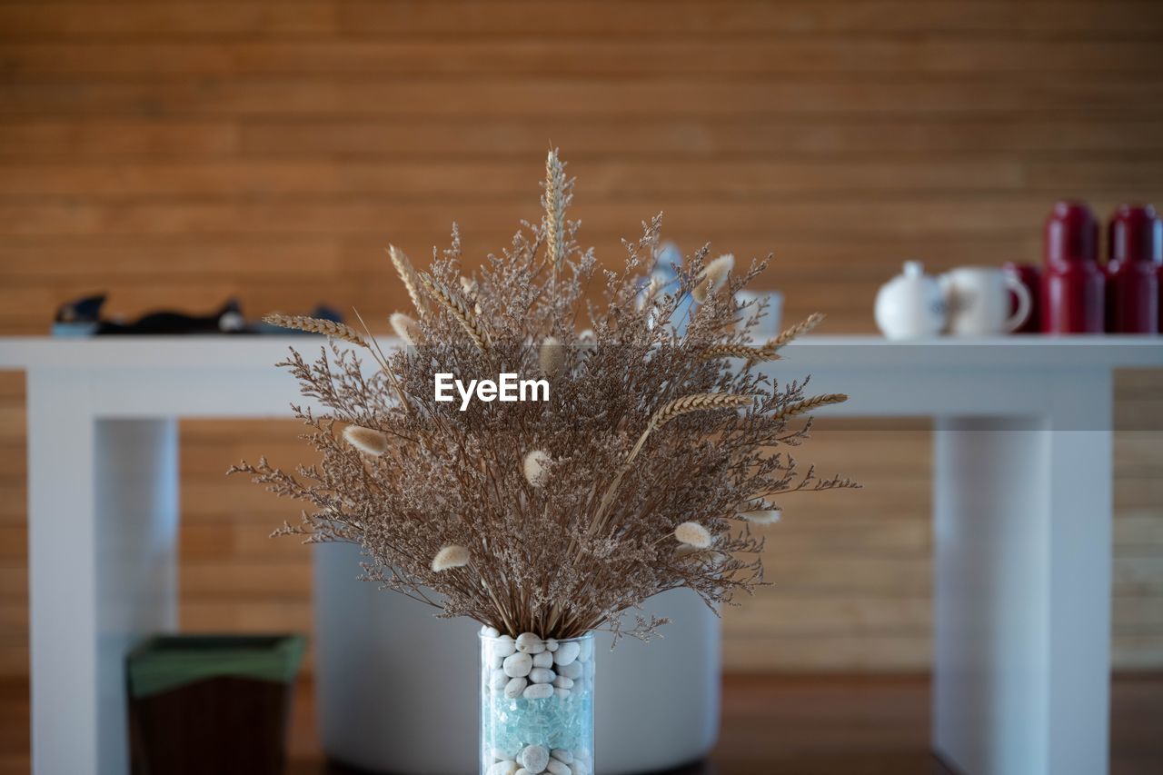 Close-up of potted plant on table at home