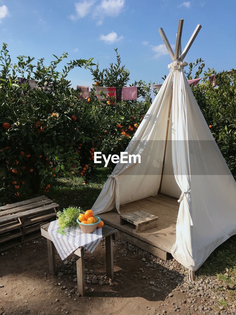 High angle view of tent with food on table outdoors