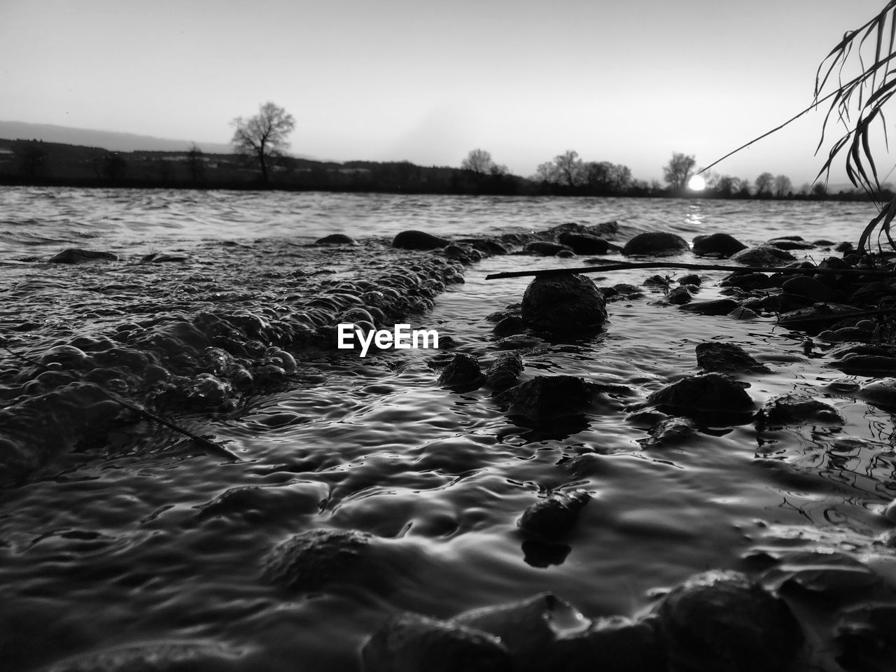 SURFACE LEVEL OF ROCKS IN SEA