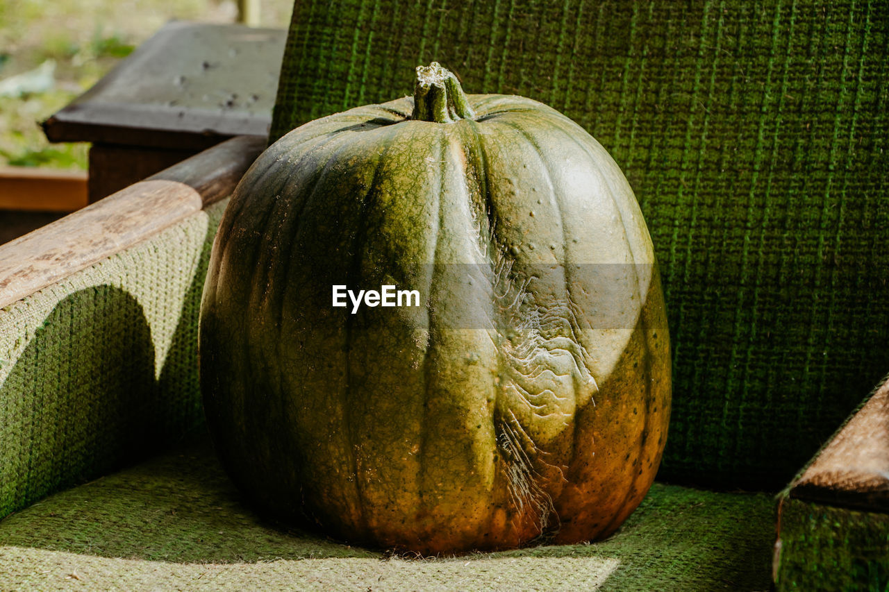 green, food and drink, food, healthy eating, plant, wellbeing, freshness, vegetable, produce, gourd, leaf, no people, pumpkin, still life, fruit, organic, winter squash, nature, squash, close-up, indoors, agriculture