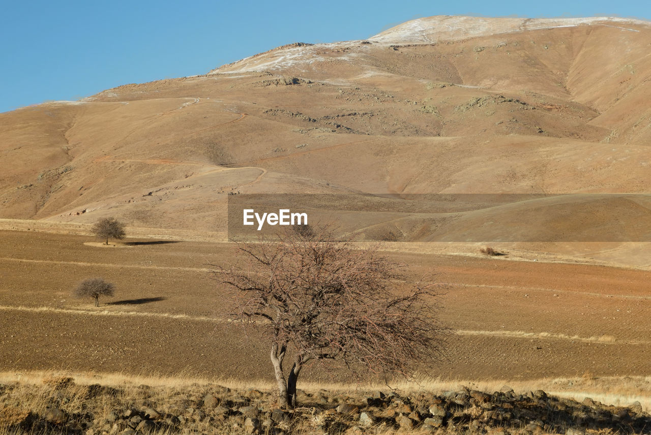 Sand dunes against clear sky