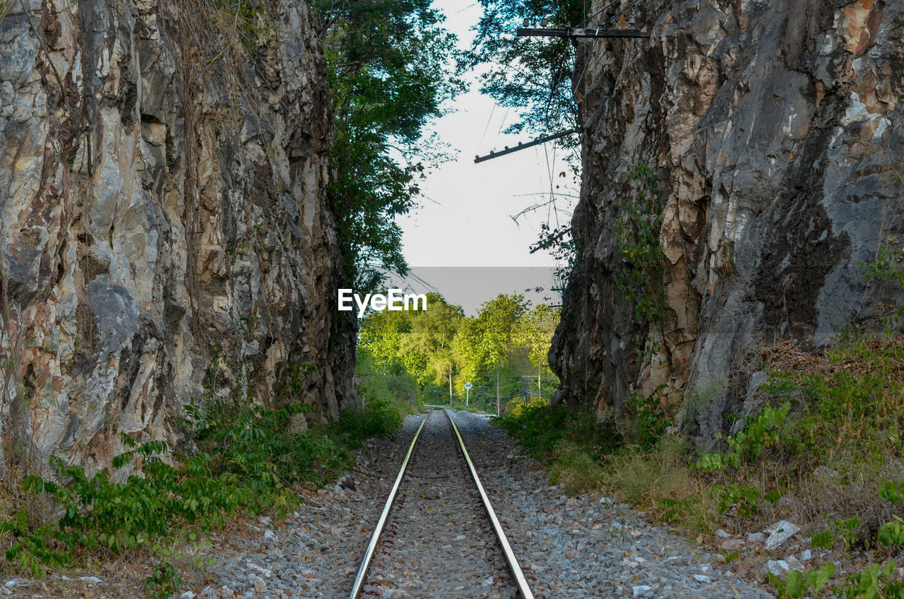 Railroad track amidst trees against sky