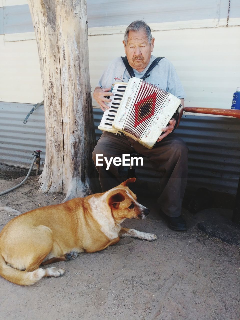 Old man playing accordion with dog at his feet