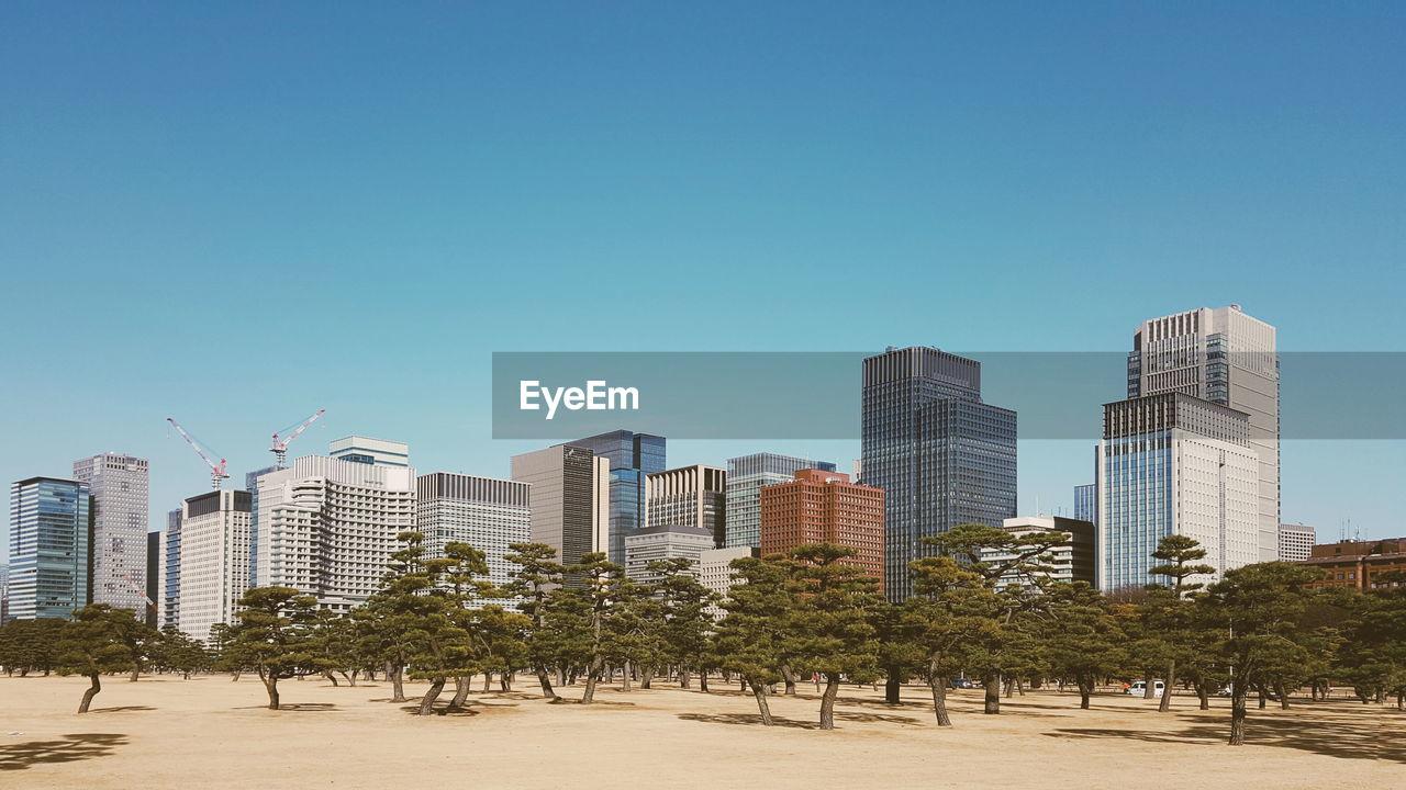 Trees on field against modern buildings in city