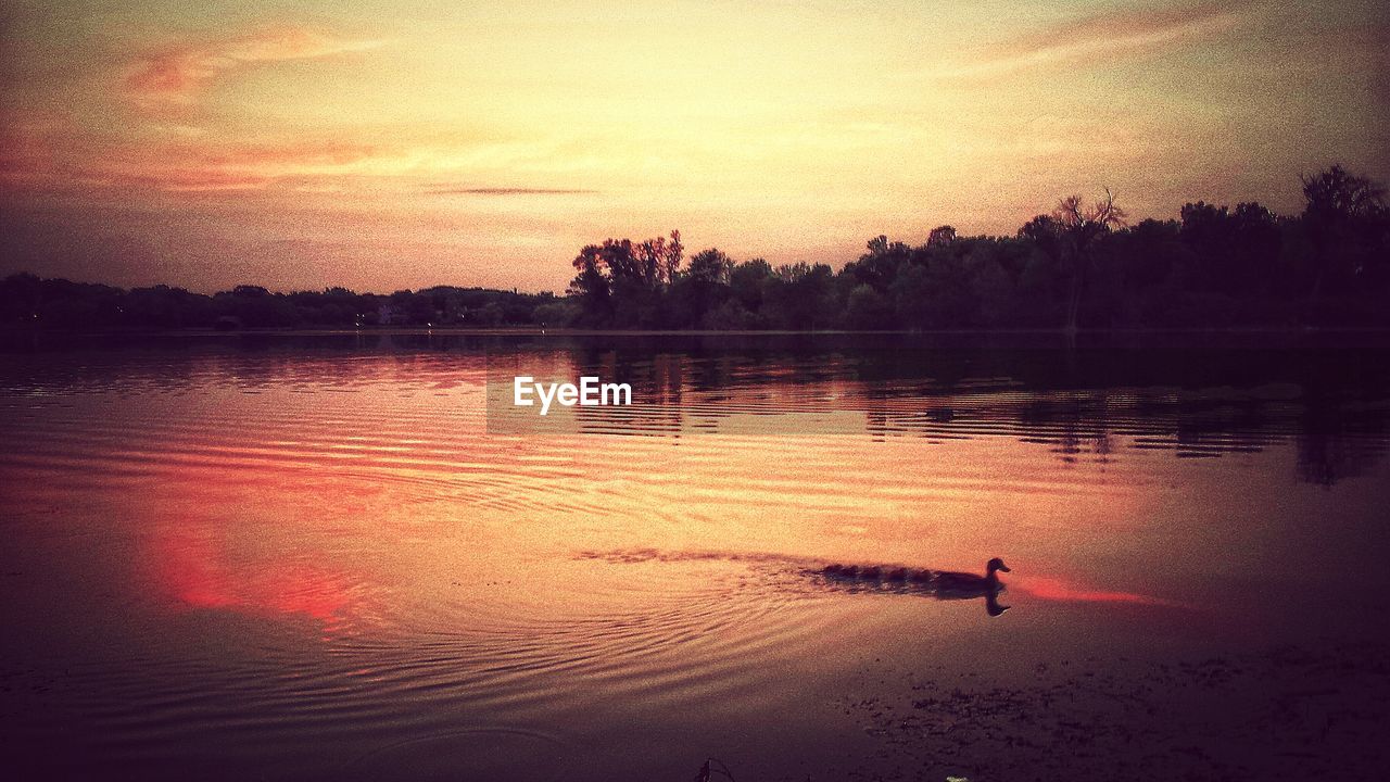 Scenic view of river during sunset