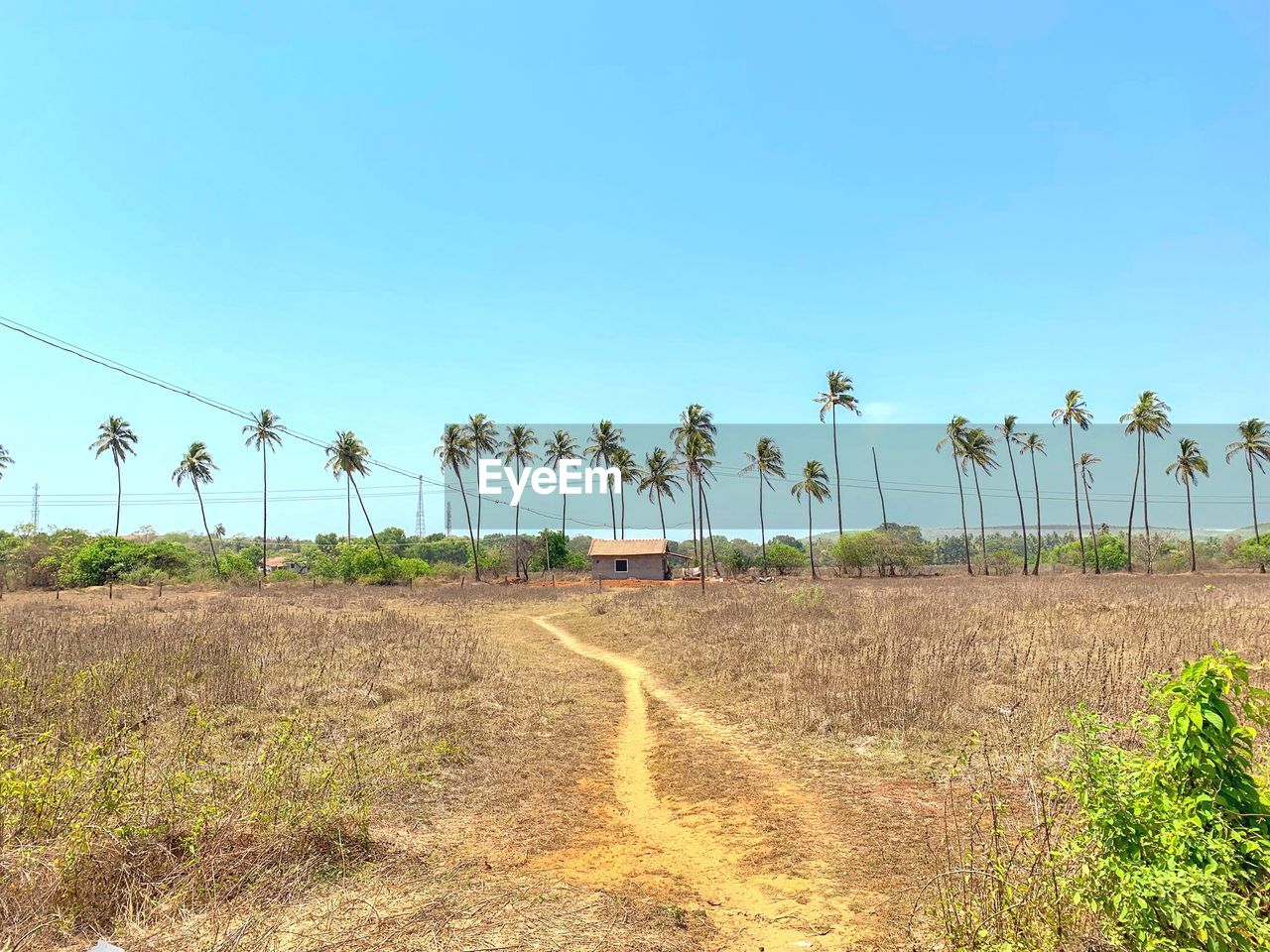 SCENIC VIEW OF LAND AGAINST SKY