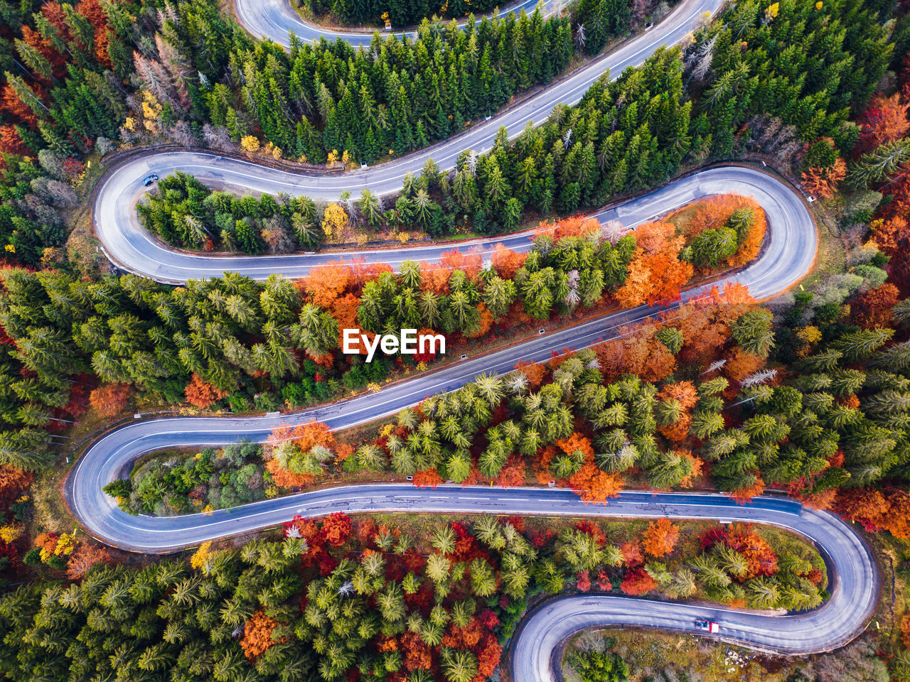 HIGH ANGLE VIEW OF ROAD BY TREES IN CITY