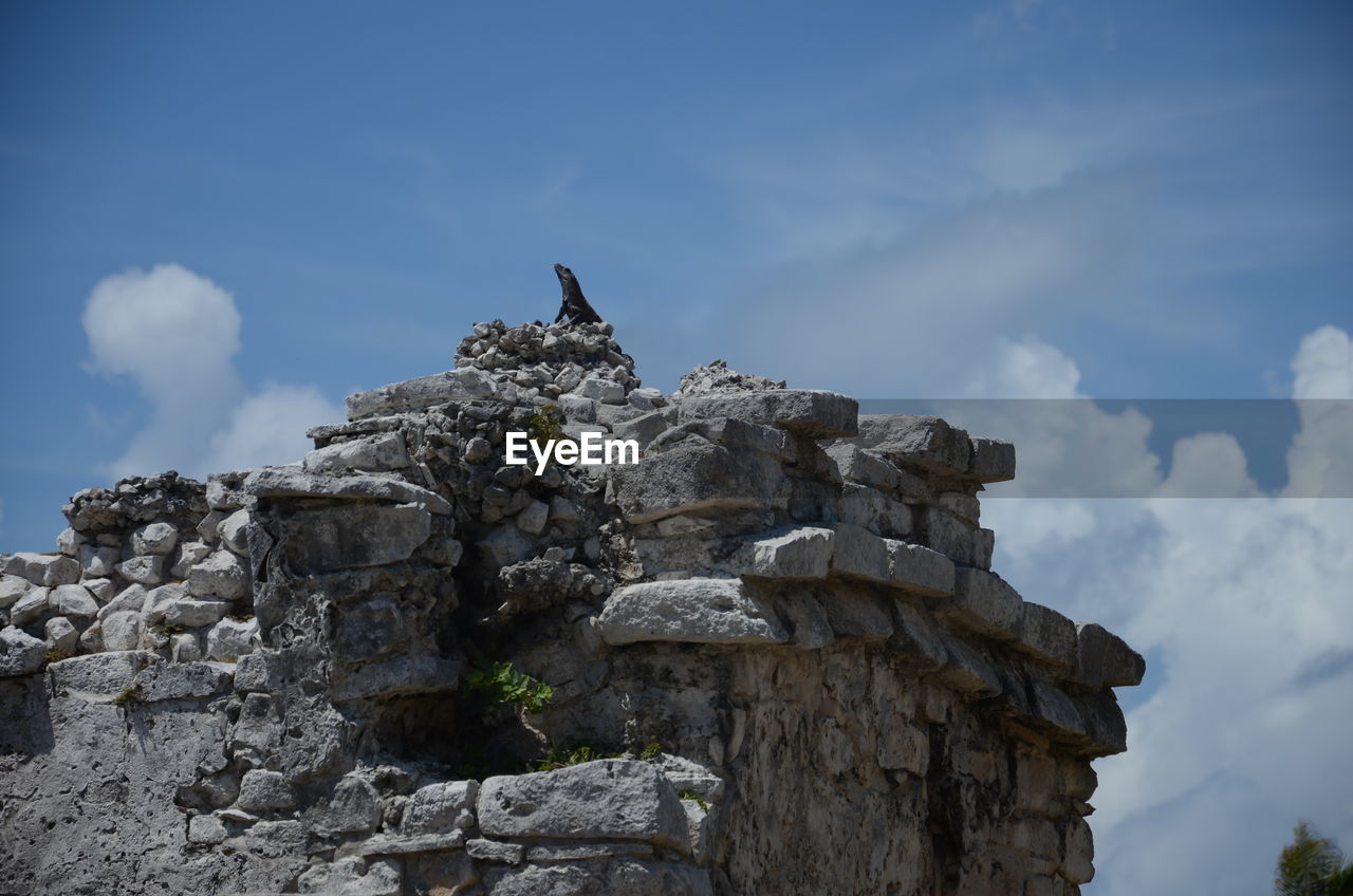 LOW ANGLE VIEW OF A BIRD PERCHING ON ROCK