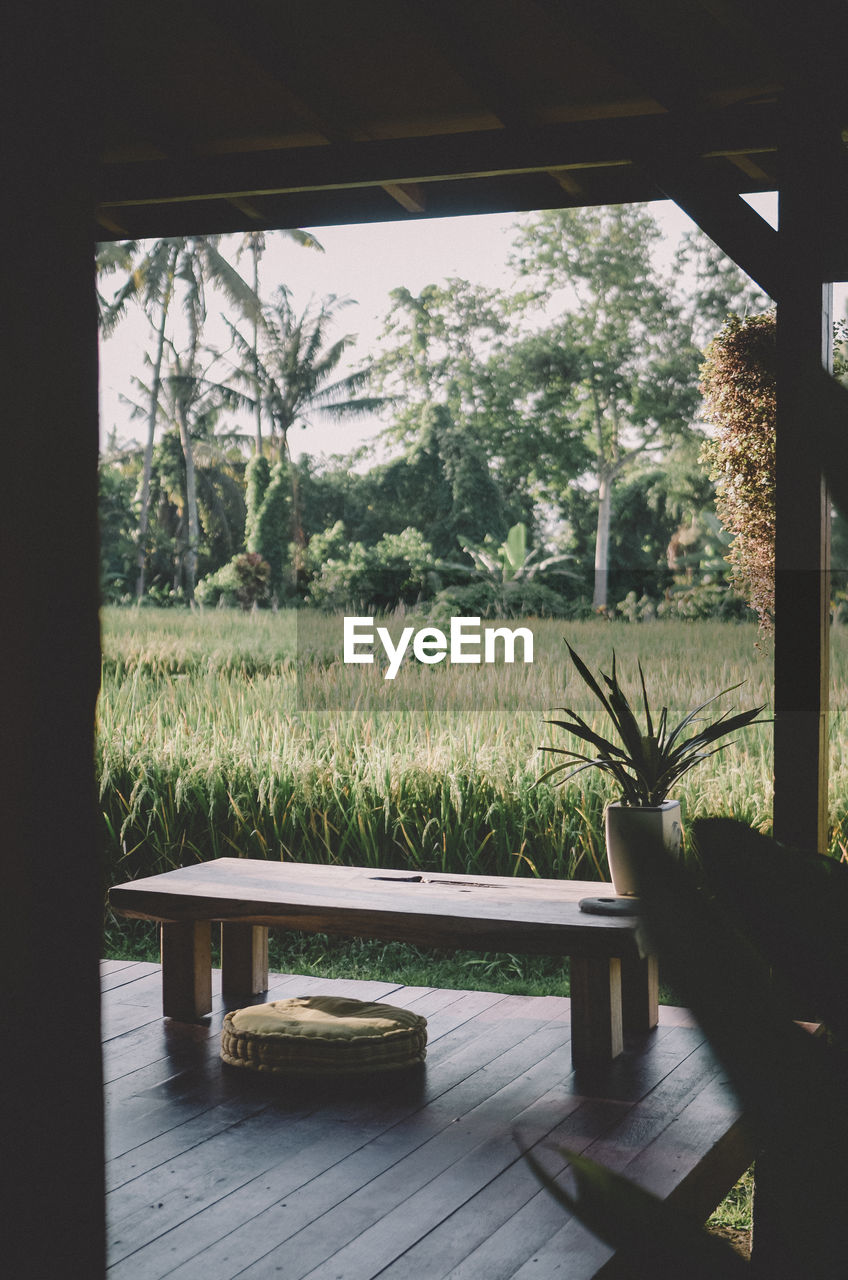 Wooden cabin with rice fields view in ubud, bali, indonesia