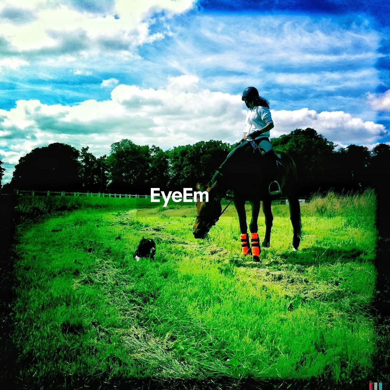 Woman riding horse in pasture