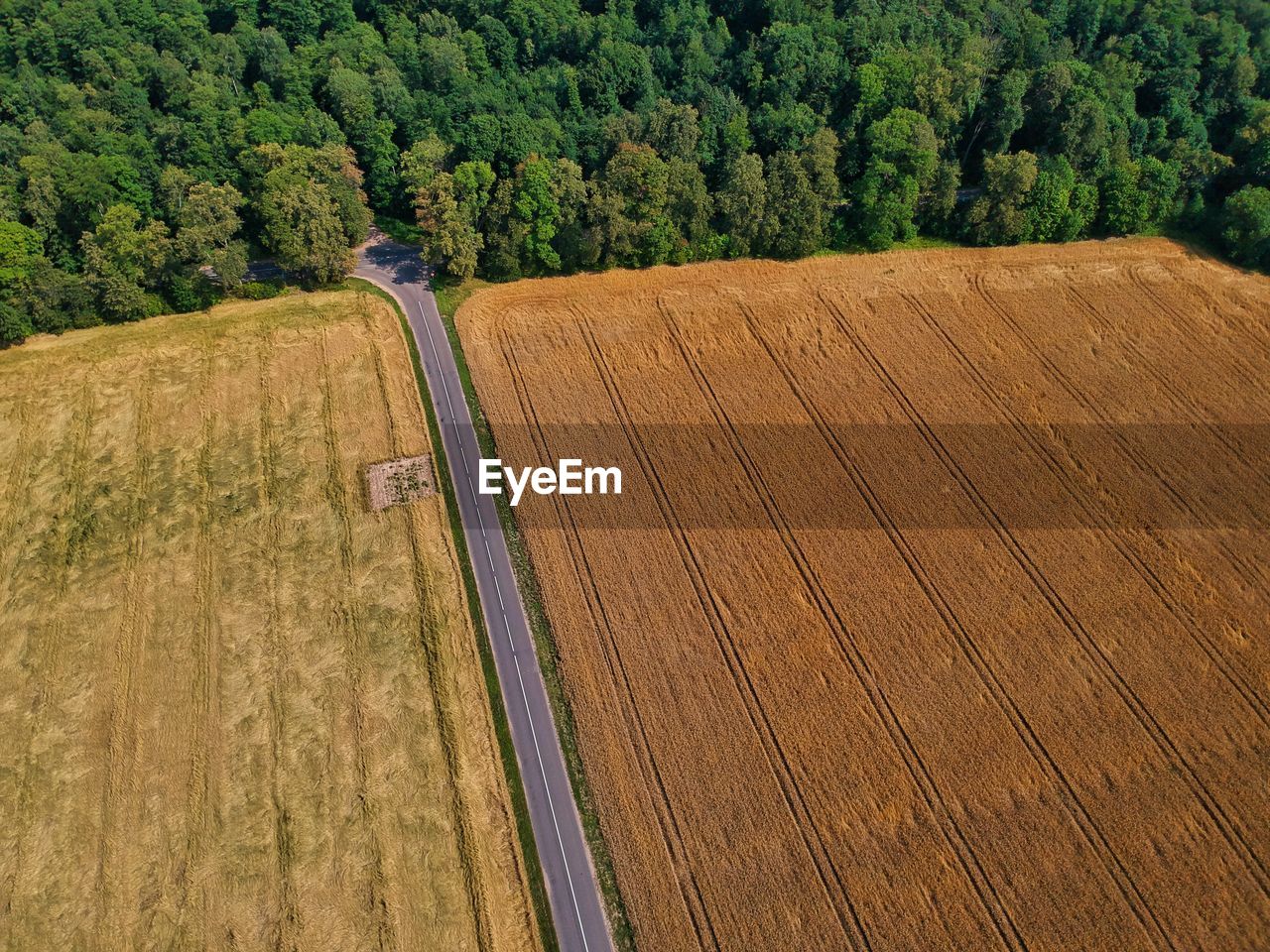 High angle view of road amidst field