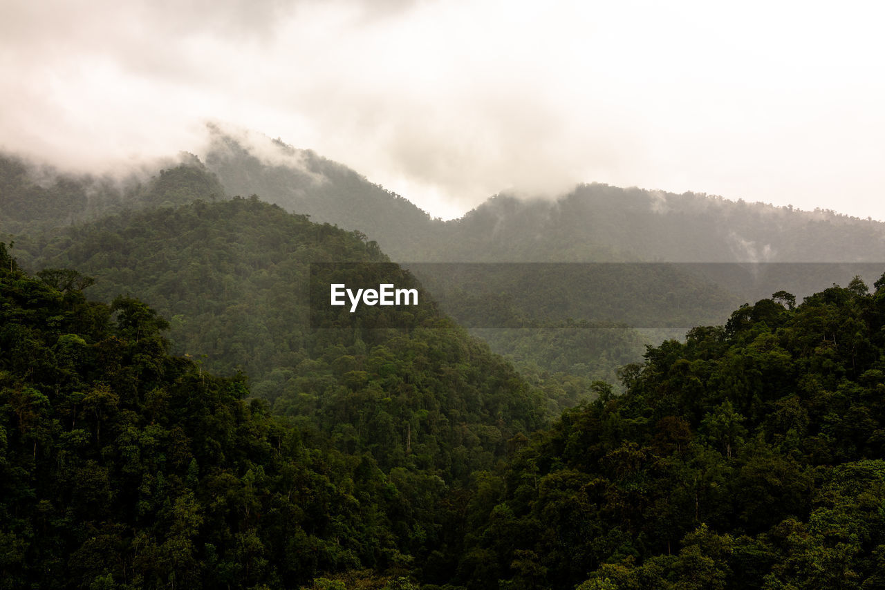 Scenic view of mountain slope and jungle against sky