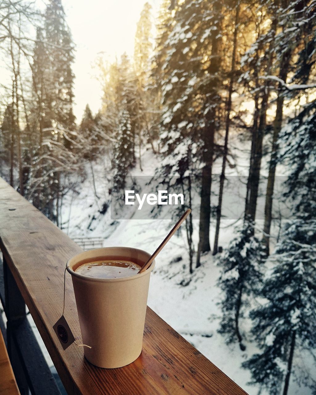 Disposable cup on table against trees during winter