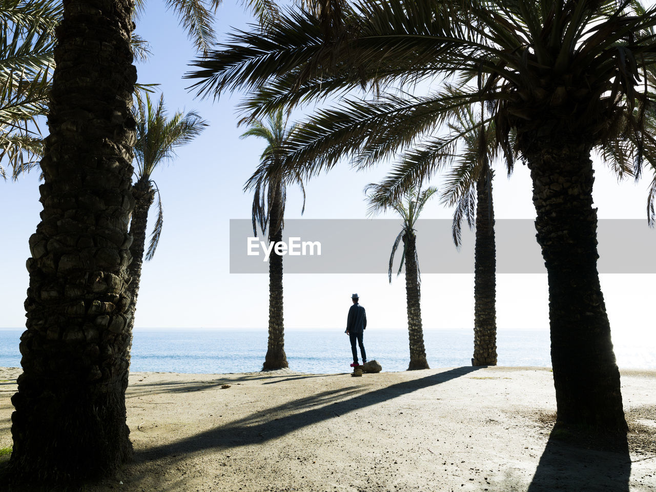 Man contemplating the sea between palm trees on the beach of pla