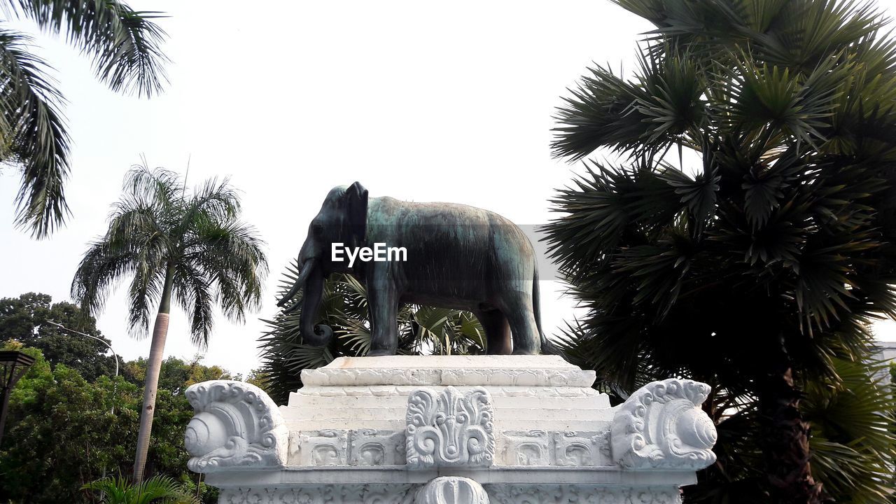 LOW ANGLE VIEW OF STATUE AGAINST PALM TREES