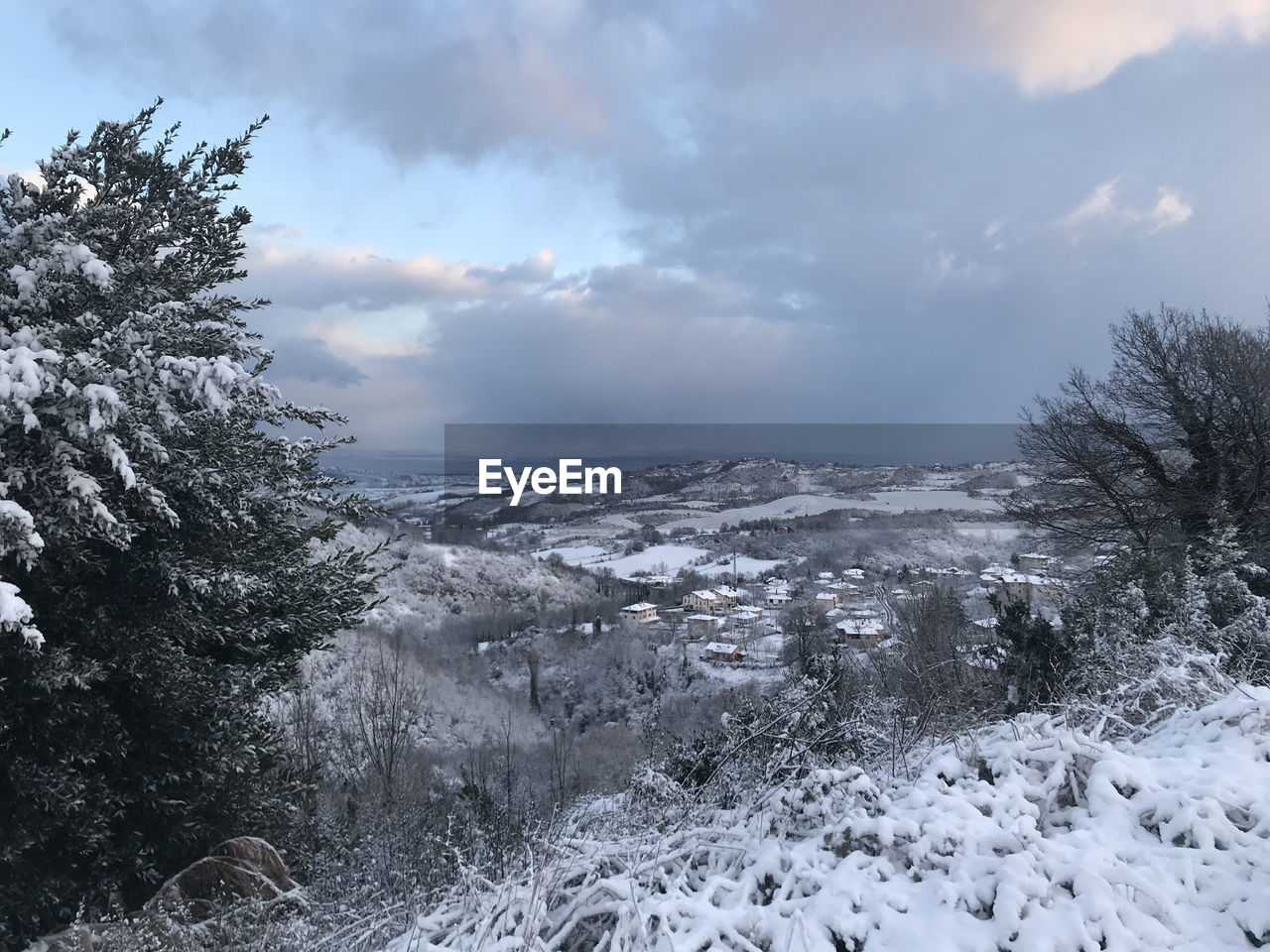 SNOW COVERED LAND AND TREES AGAINST SKY