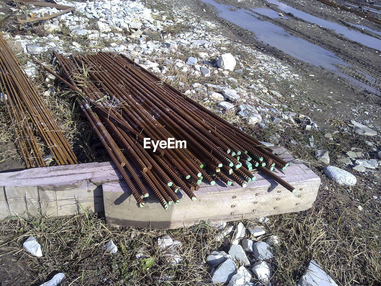 HIGH ANGLE VIEW OF WOOD IN SUNLIGHT