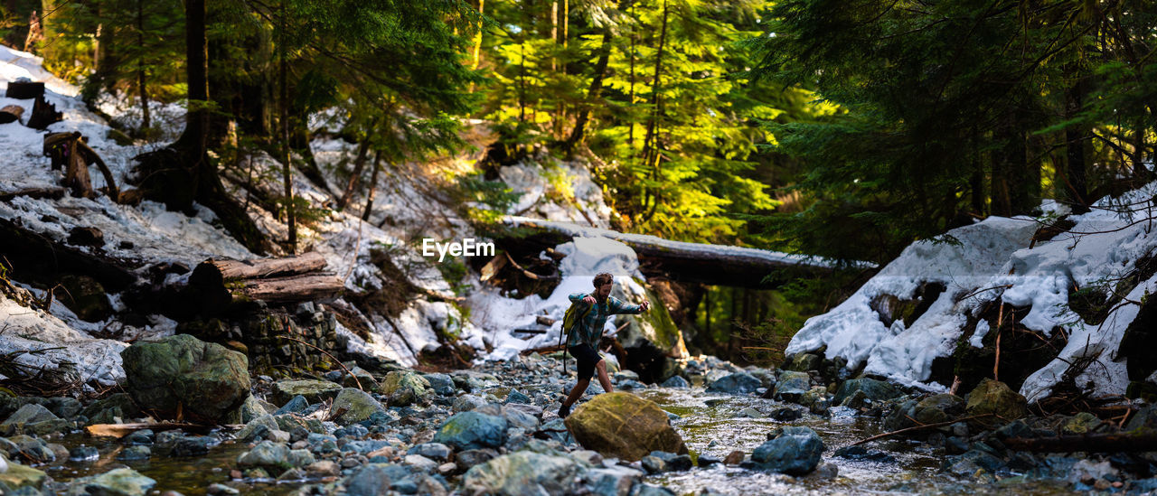 Stream flowing through rocks in forest