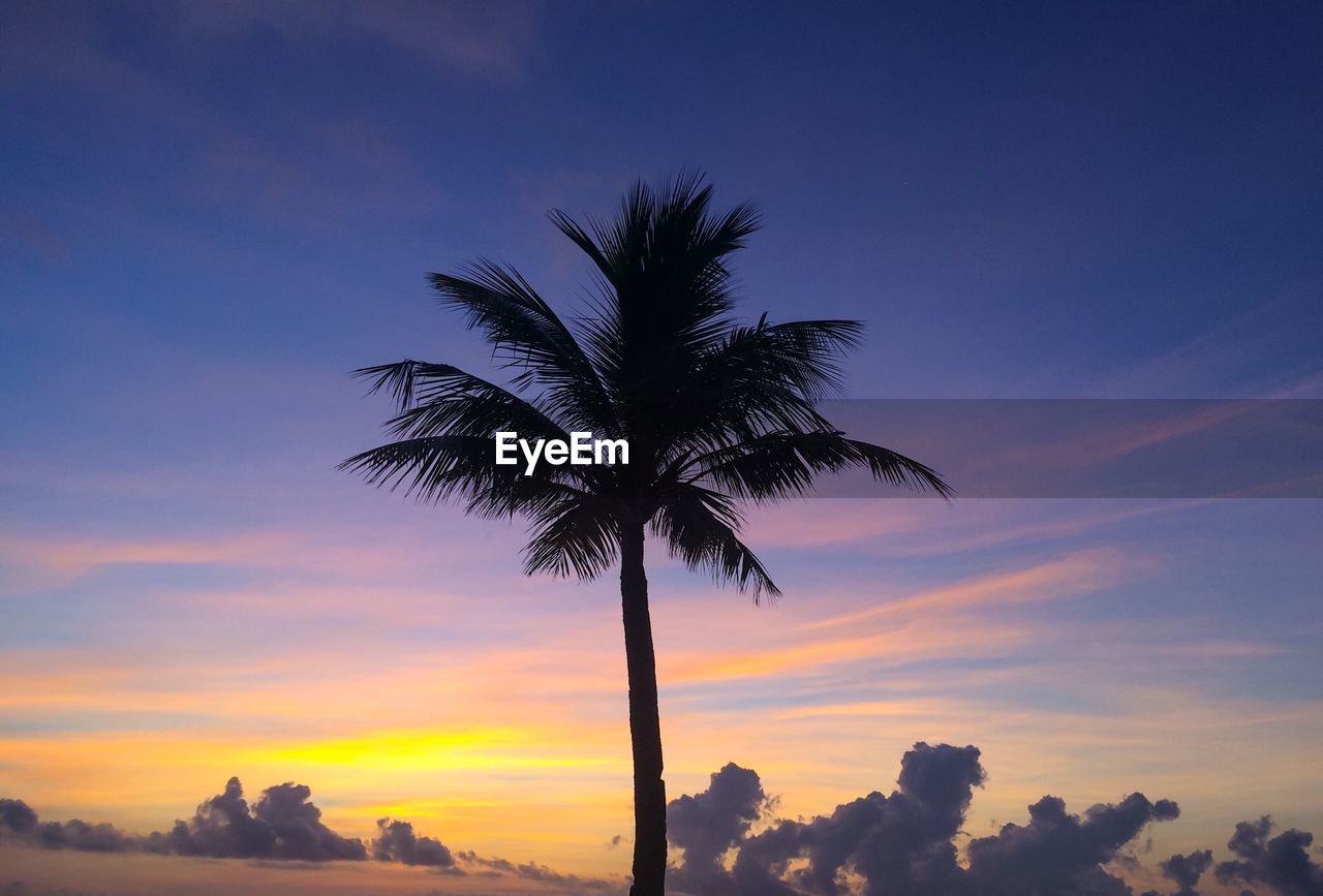 Low angle view of silhouette palm tree against sky at sunset