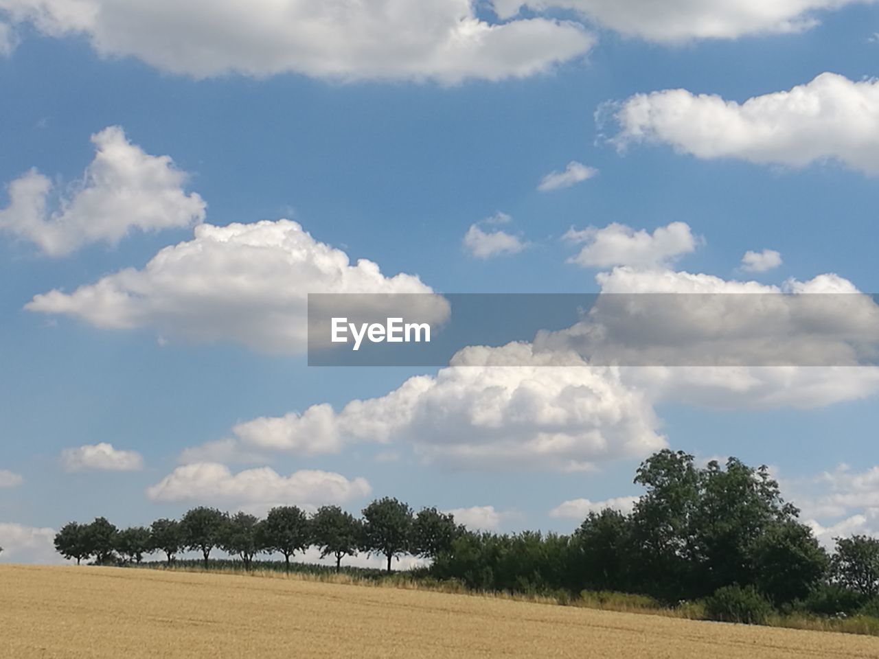 TREES ON FIELD AGAINST CLOUDY SKY