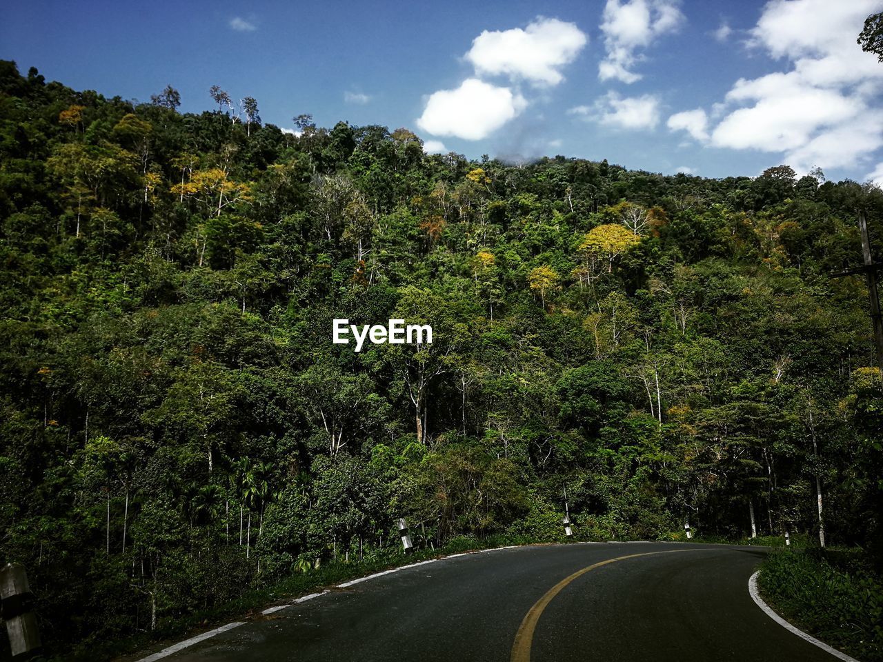 ROAD AMIDST TREES AND PLANTS AGAINST SKY