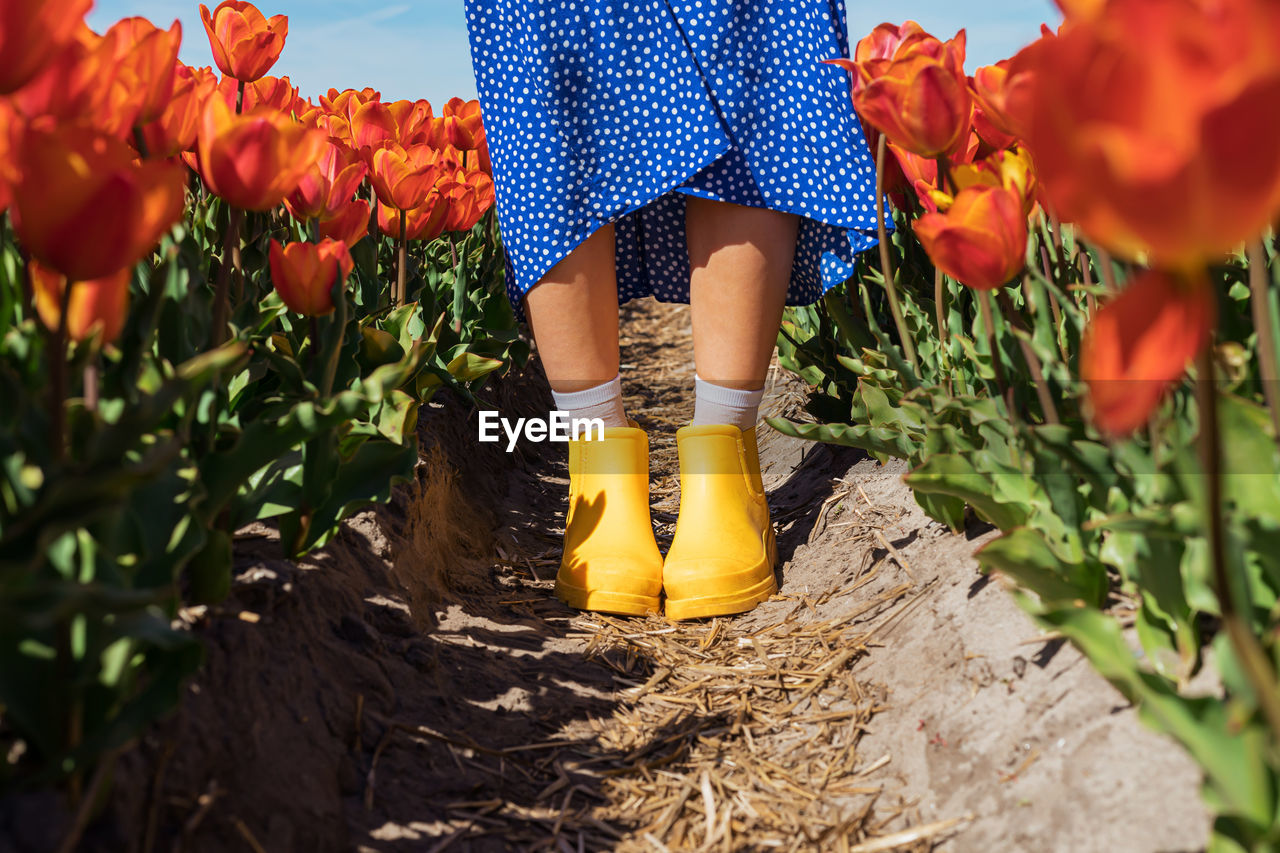 A girl in yellow boots and blue dress at the tulip flower fields.