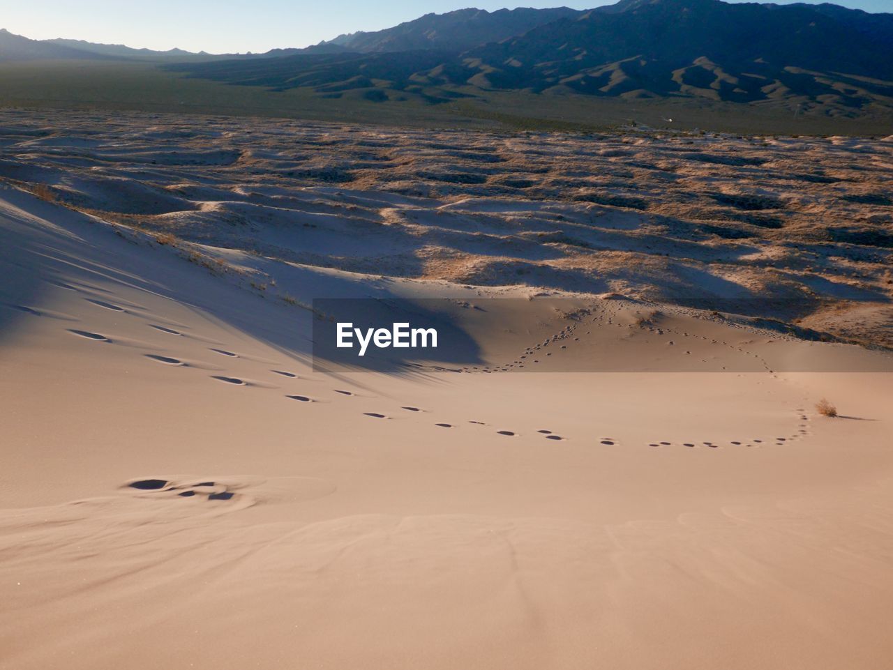 Footprint on sand dune in desert