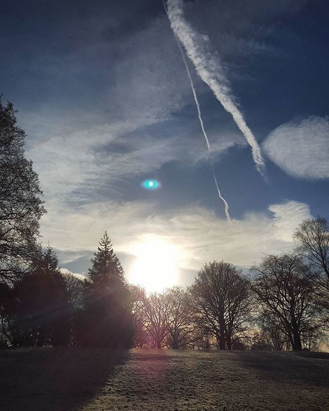 SUN SHINING THROUGH TREES