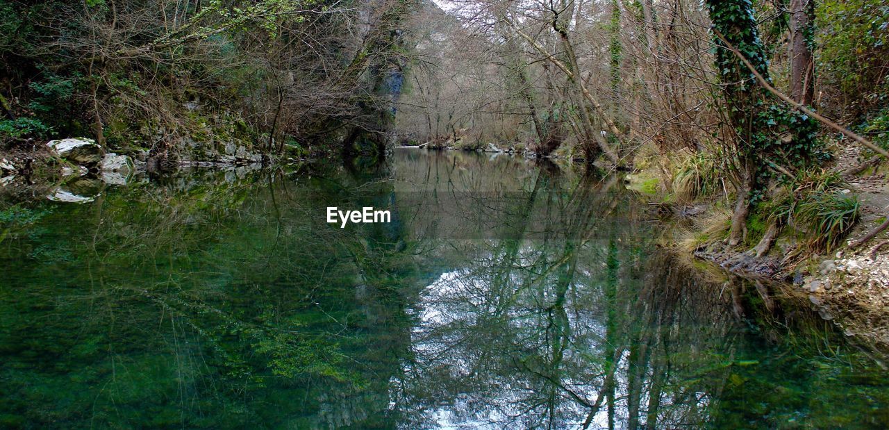 SCENIC VIEW OF LAKE AMIDST TREES