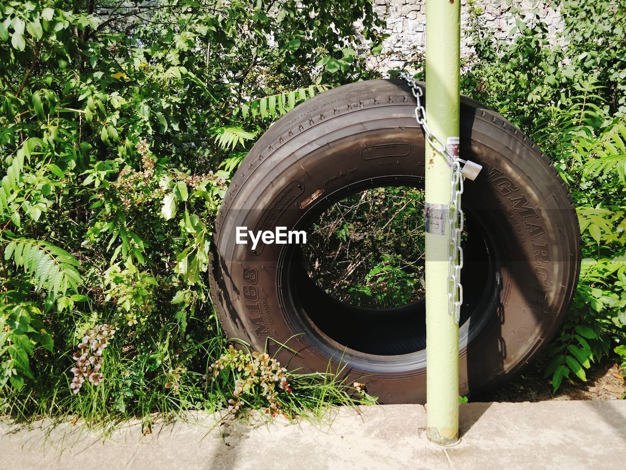 Tire by pole against plants