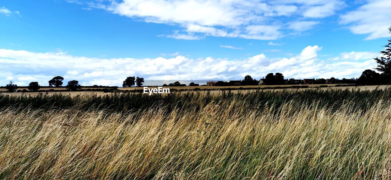 SCENIC VIEW OF FARM AGAINST SKY