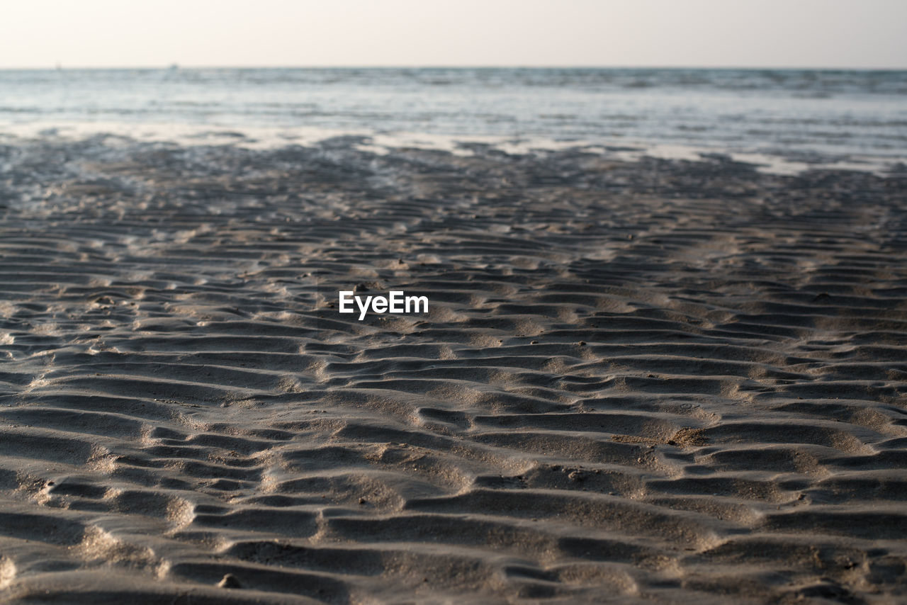 SURFACE LEVEL OF BEACH