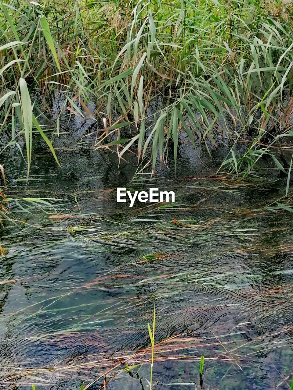 HIGH ANGLE VIEW OF WATER FLOWING IN LAKE