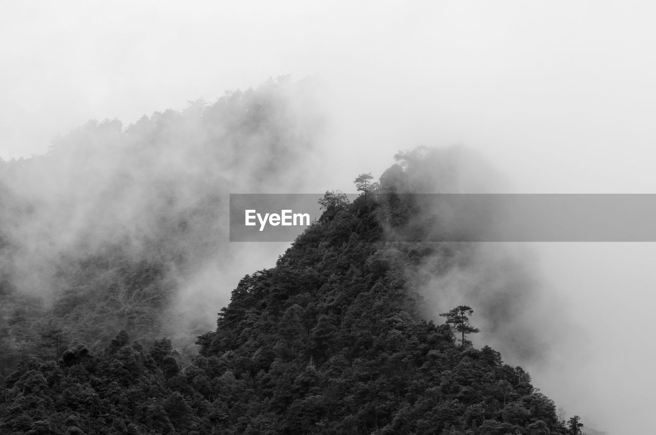 SCENIC VIEW OF FOG AGAINST SKY