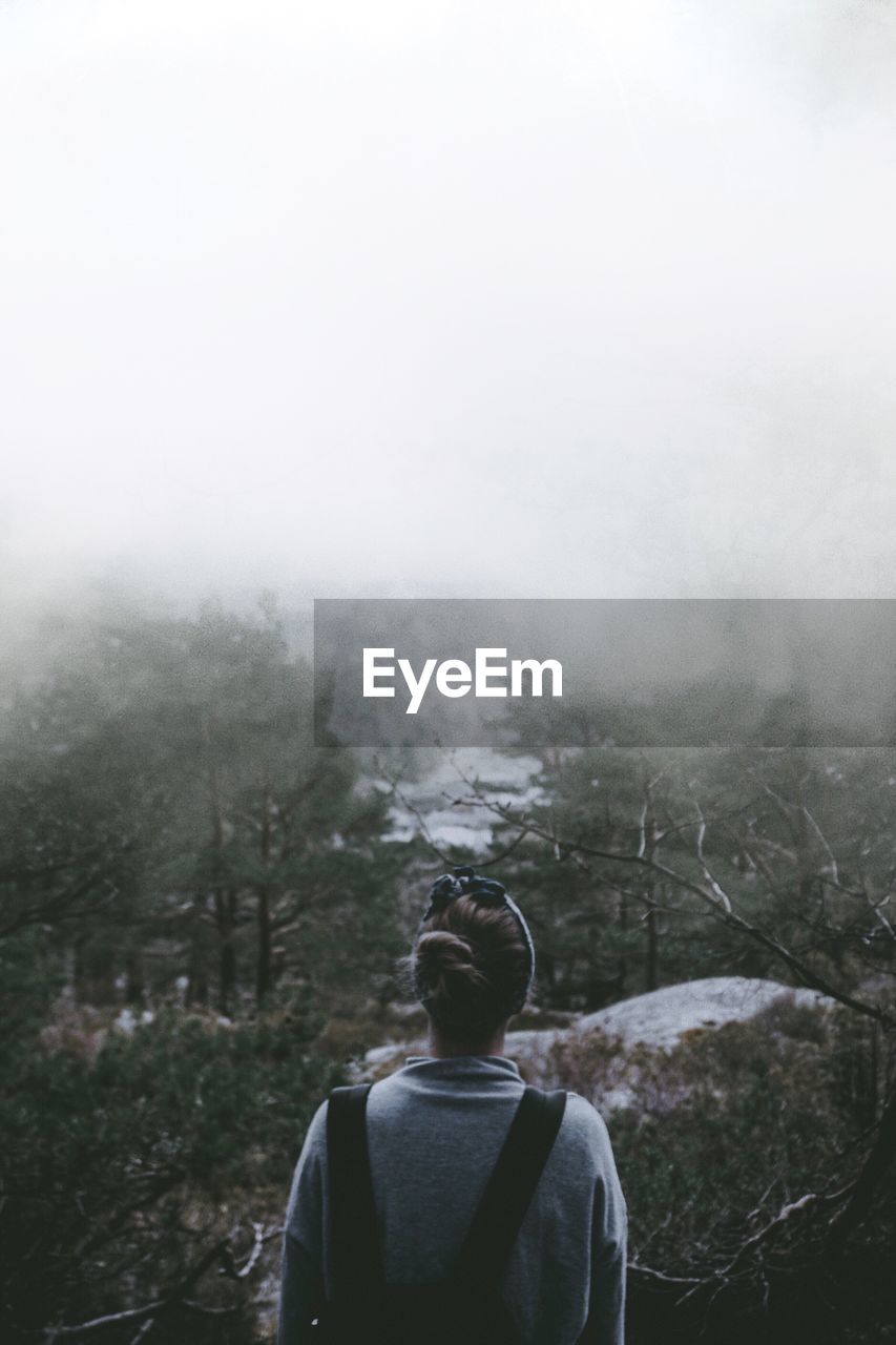 Rear view of woman looking at forest during foggy weather