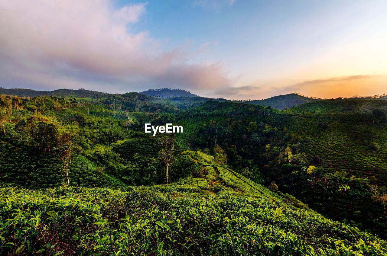 SCENIC VIEW OF MOUNTAINS AGAINST SKY DURING SUNSET