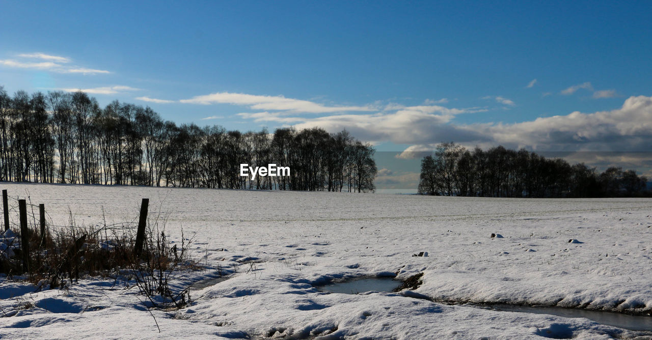 TREES ON LANDSCAPE AGAINST SKY