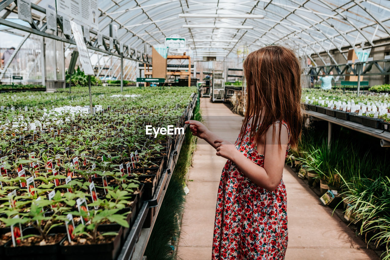 Side view of young girl looking at plants in green house