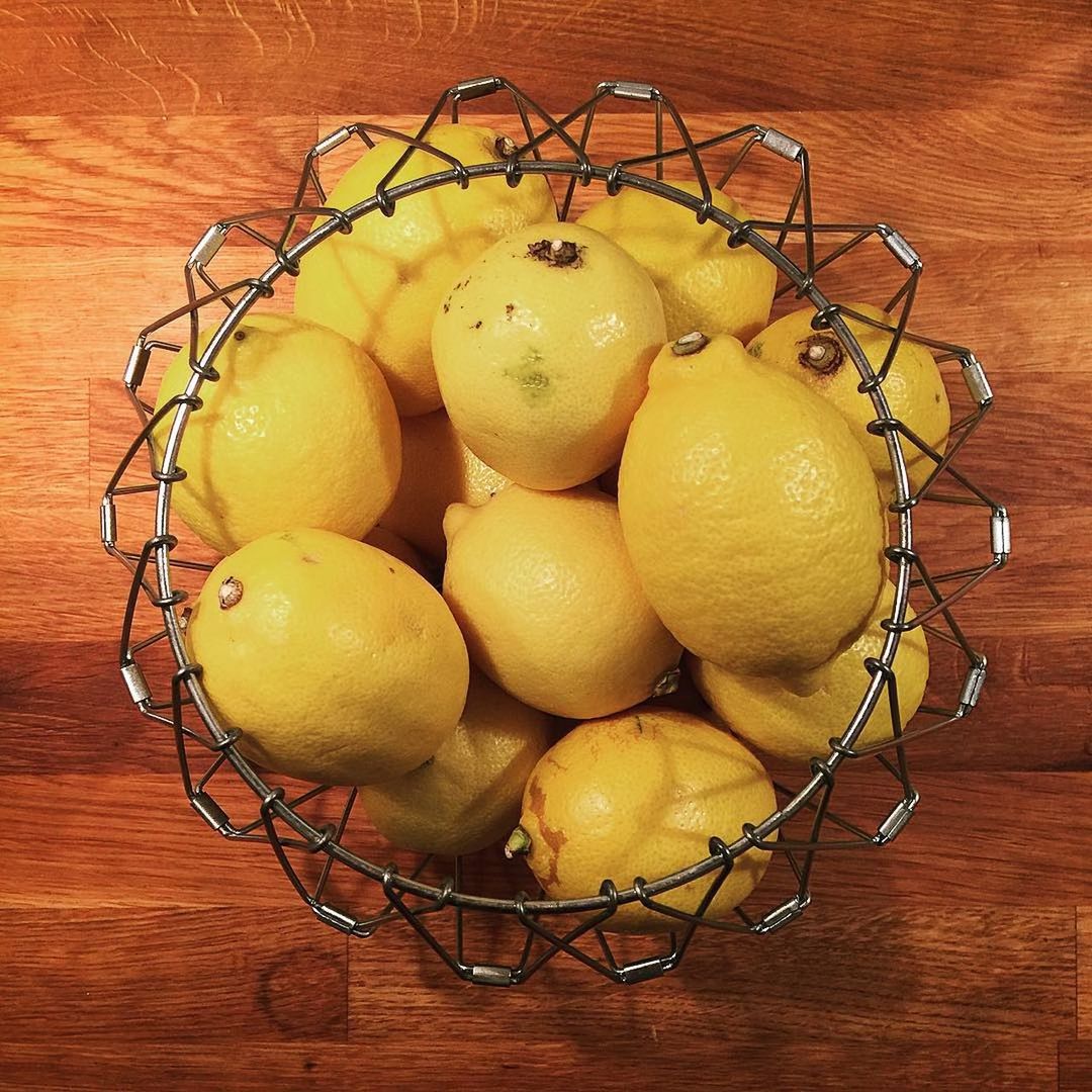 HIGH ANGLE VIEW OF LEMONS