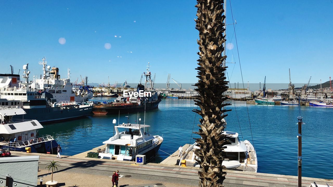 Sailboats moored in harbor